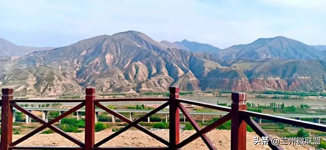 杏林湖黑天鹅,五一假期观光兰州