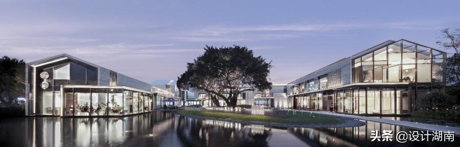 阳光城集团谭立新简历,阳光城集团谭立新