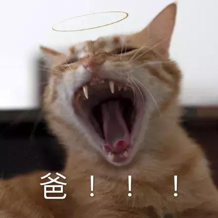 笑我用30块的水乳太便宜？但它护肤效果堪比磨皮美白！