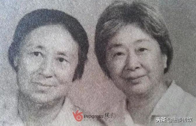 豫剧名旦徐艳琴简介,豫剧名家徐艳琴