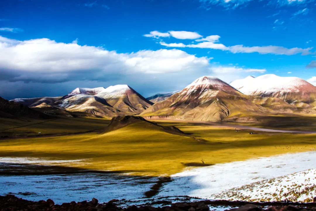 可可西里巡山队与盗猎者,独闯可可西里无人区