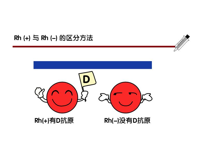 不同类型的血型会怎样,血型分析与血型特征