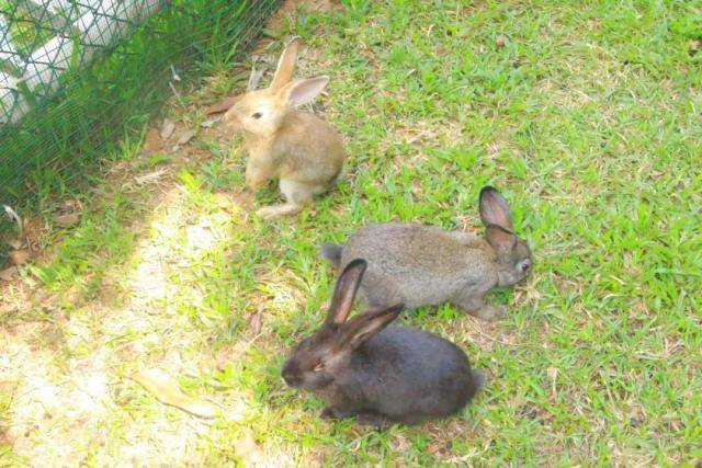 东莞市东城区唐拉雅秀酒店,东莞唐拉雅秀酒店团购订房