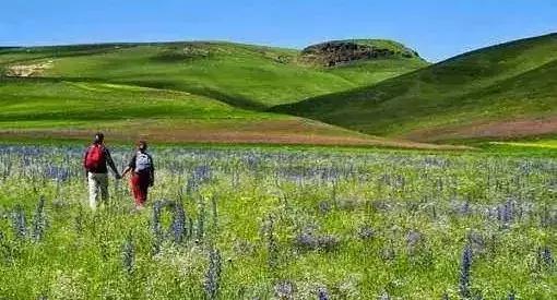 诗歌：我想和你有一场约会