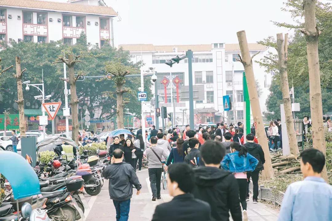 深圳这座城市很美,深圳这座城市风景太美了