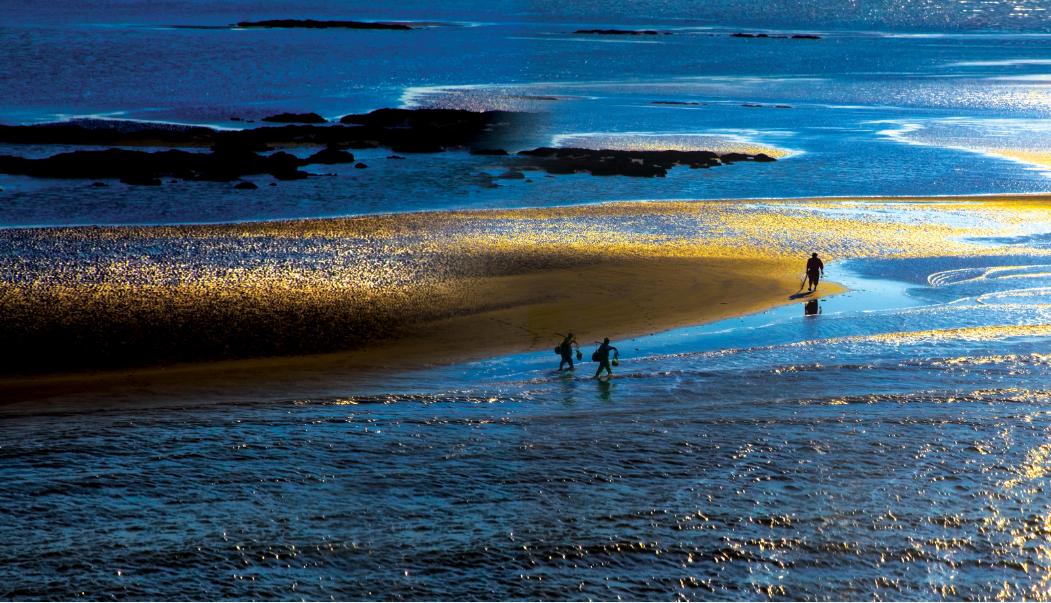 南通十大强镇gdp,2022年南通市各县区gdp排名