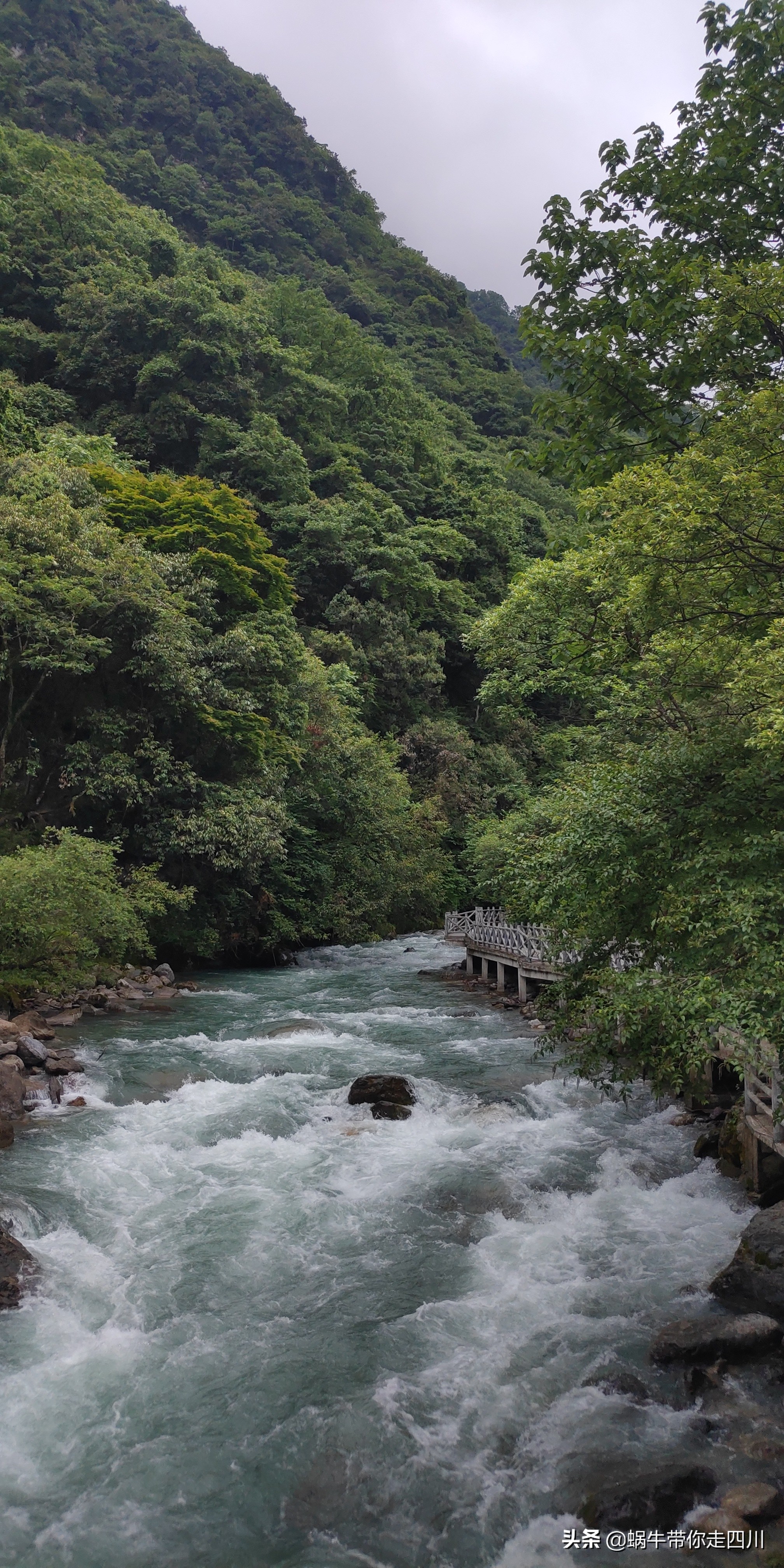 成都到西藏旅游一家三口,成都出发三天两夜旅行套票