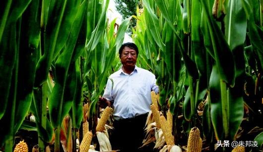 袁隆平玉米,中国农业大国袁隆平