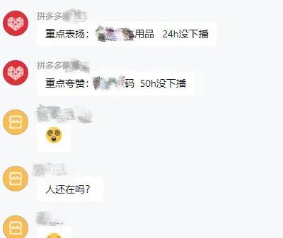 罗永浩拼多多完整版,罗永浩点评拼多多