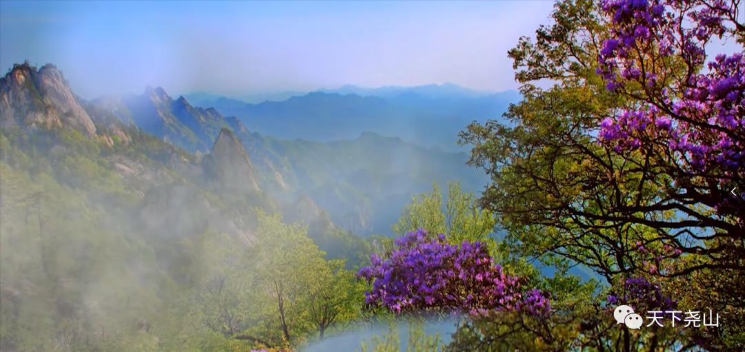 “5.19”|遇见尧山,发现生活之美
