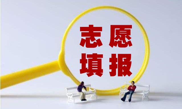 报考季，你知道“一本大学”英文如何表达吗？