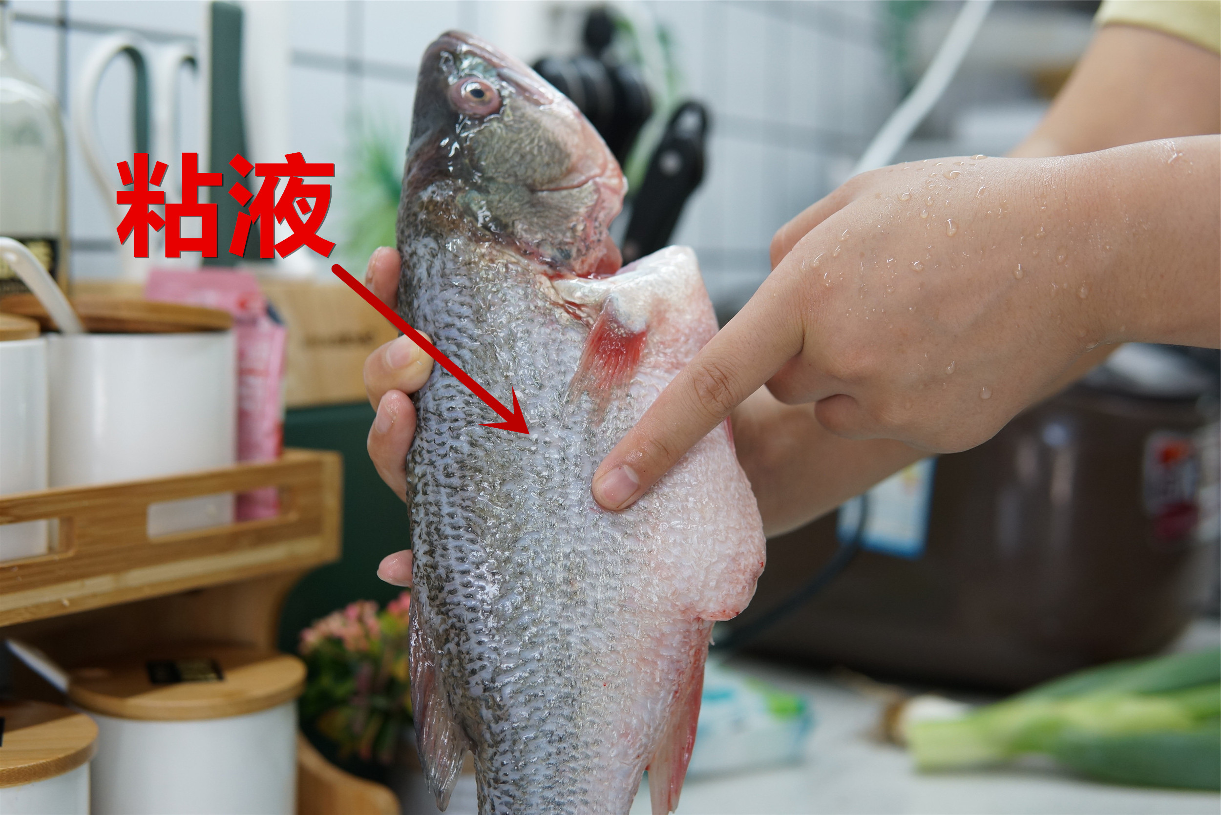 给鱼去腥,怎么给鱼去除腥线