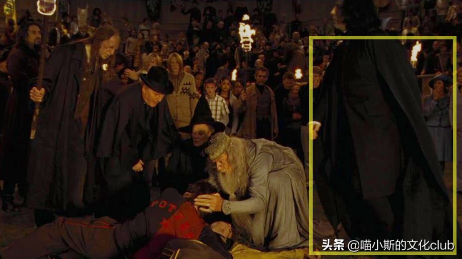 斯内普与哈利波特的小彩蛋,哈利波特中斯内普的小细节