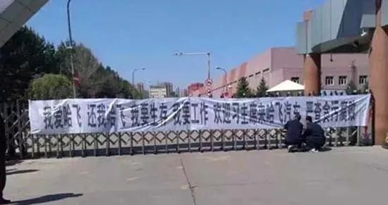 “微面之王”哈飞,是如何被长安玩坏的?