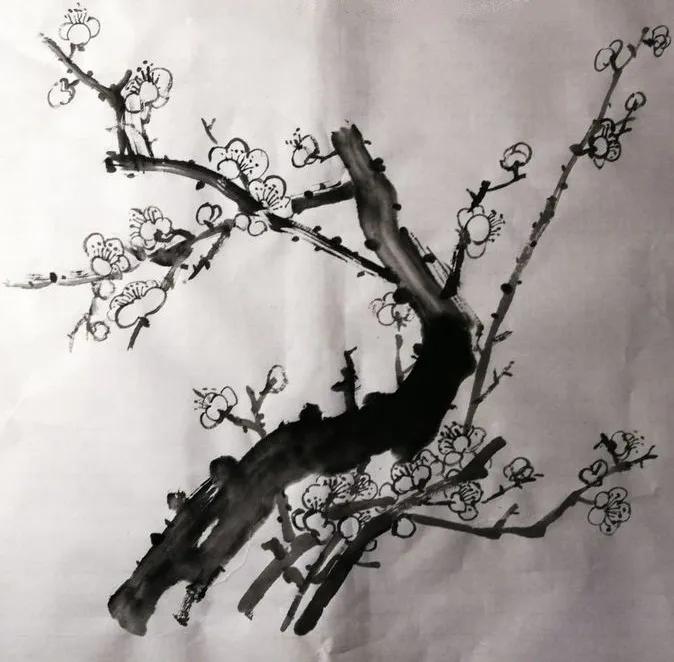 大写意梅韵国画,大写意国画入门教程