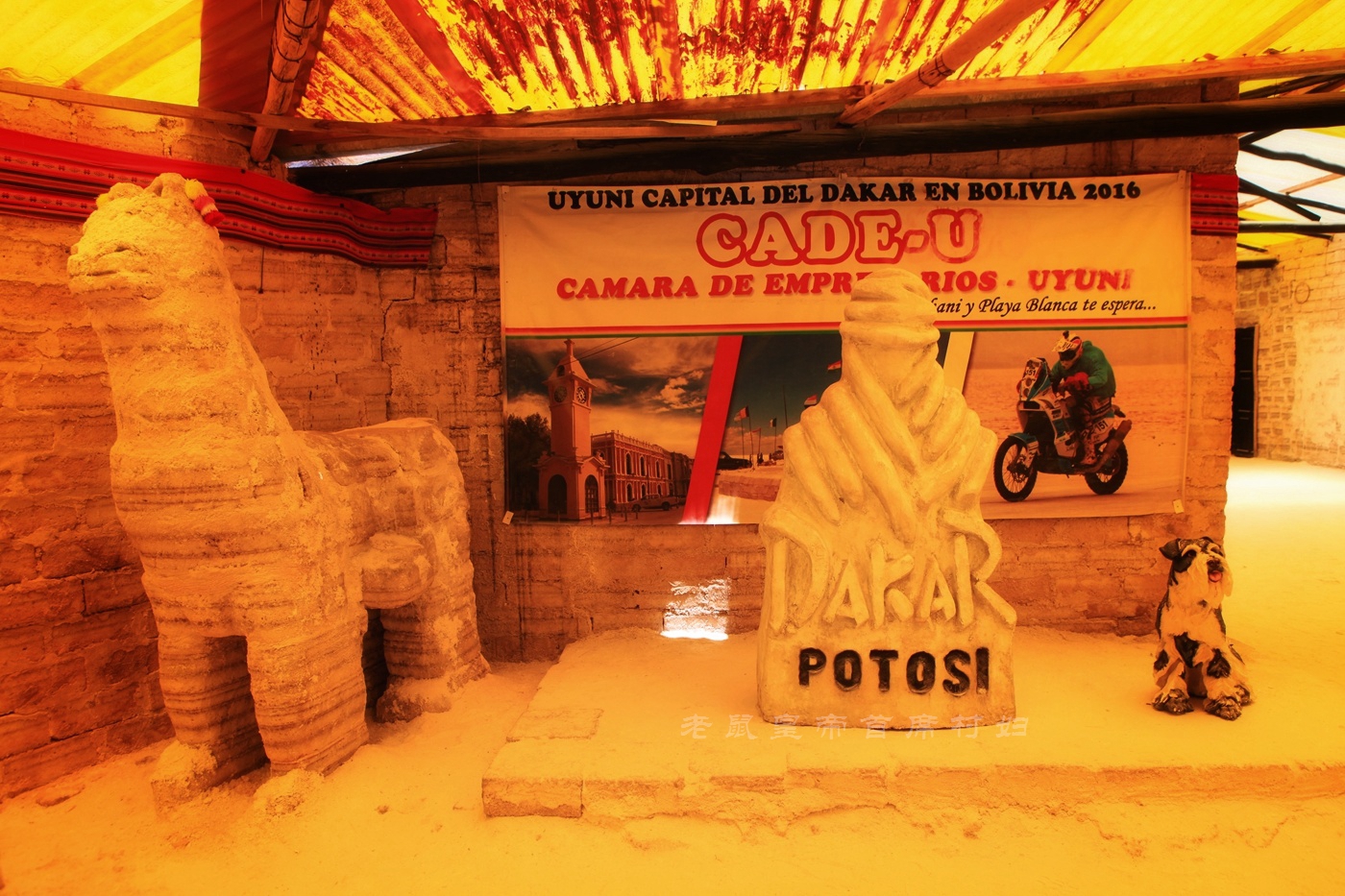 玻利维亚天空之镜旅游全过程,玻利维亚天空之镜星空夜景