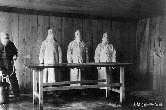 1910年东北鼠疫怎么治愈的,中国鼠疫怎么解决的