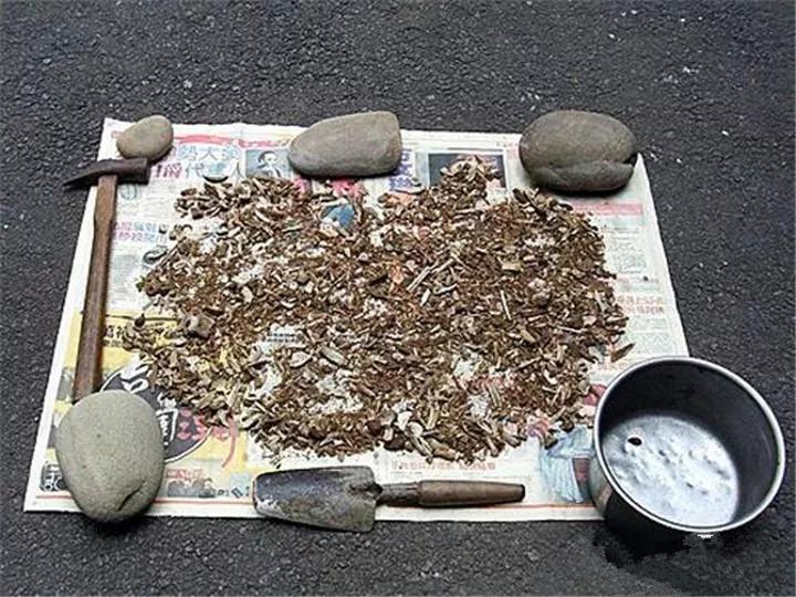 这6种碎渣渣，养花当土又当肥，比激素还有劲儿