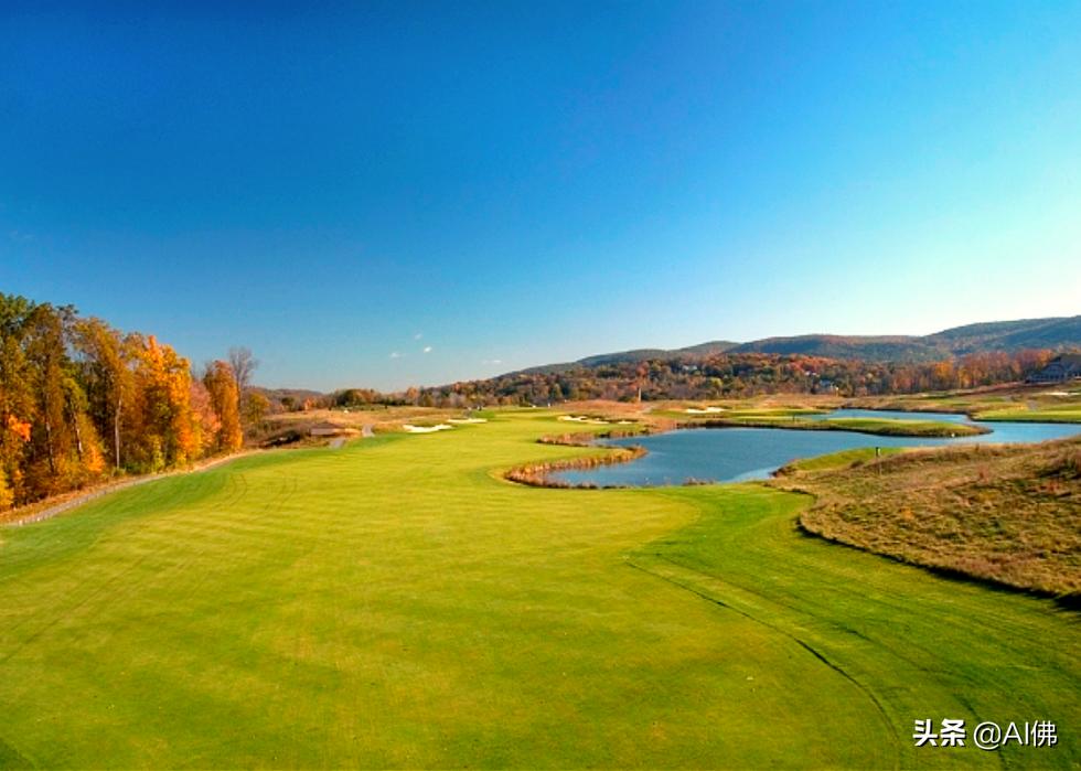 美国圆石滩高尔夫球场,美国高尔夫球场数量