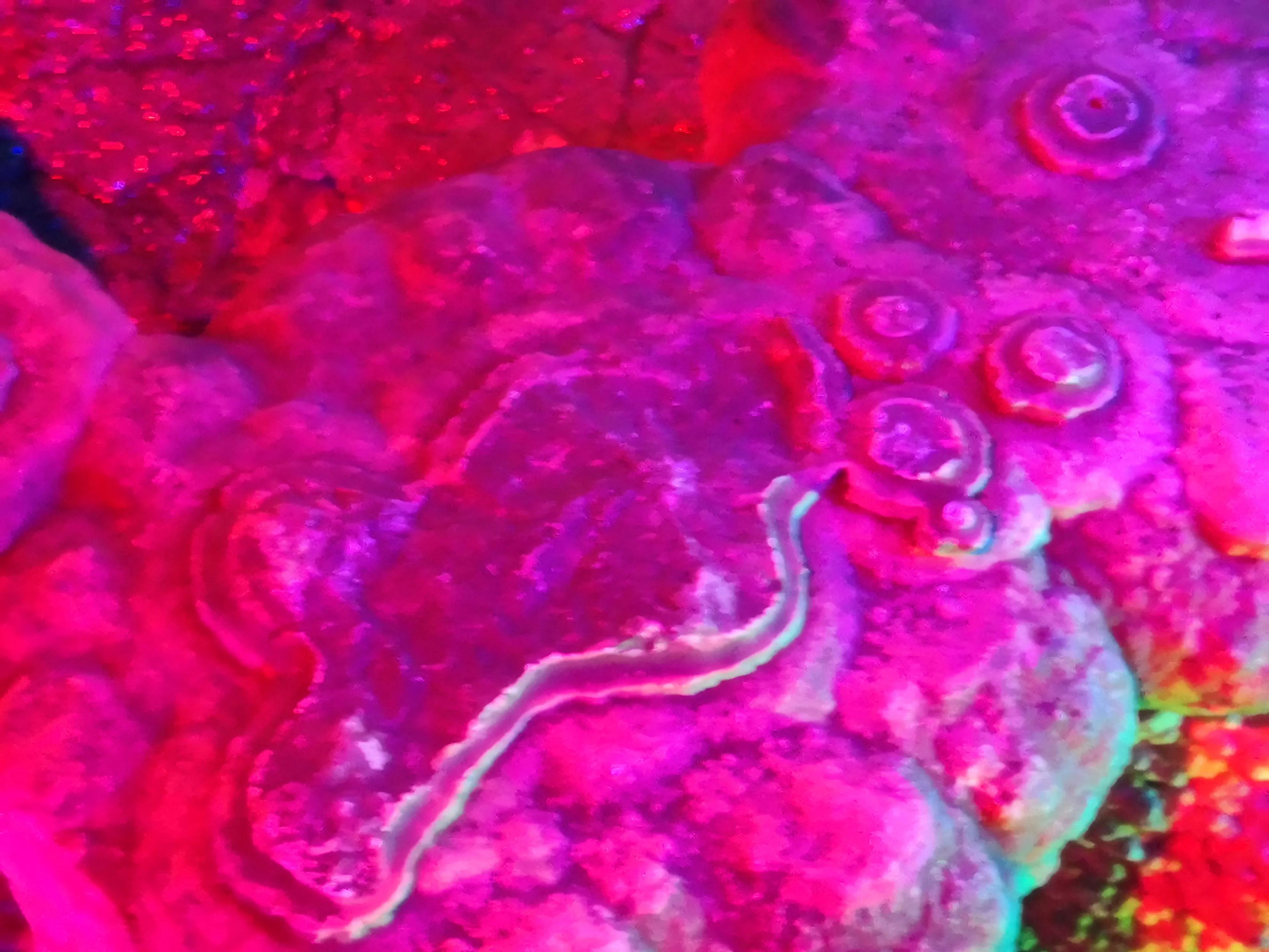 蔺相如故里景点简介,蔺相如邯郸景点