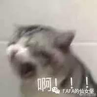 收纳小安利！一个买买买狂魔的收纳分享！