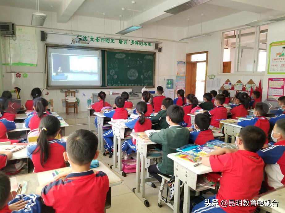 盘龙区金实小学,金实小学幼升小信息