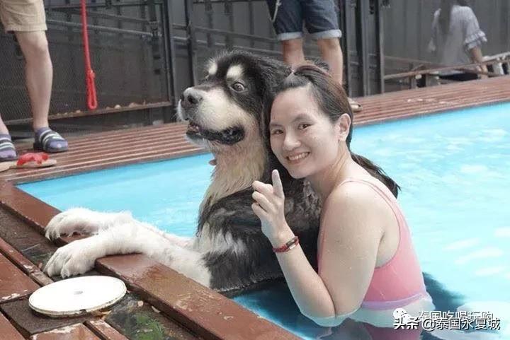 曼谷BigDogCafe|想把每一只狗狗偷偷打包带回家！