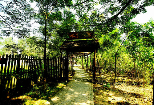 鏈夊嚖鏉ユ湞璇婚煶,鏈夊嚖鏉ユ湞