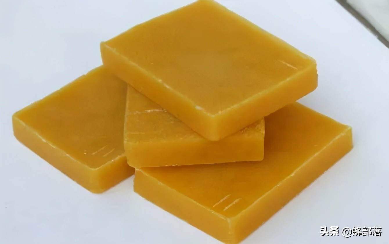 中华蜜蜂和意大利蜜蜂同区养,中国外来昆虫的危害及防治