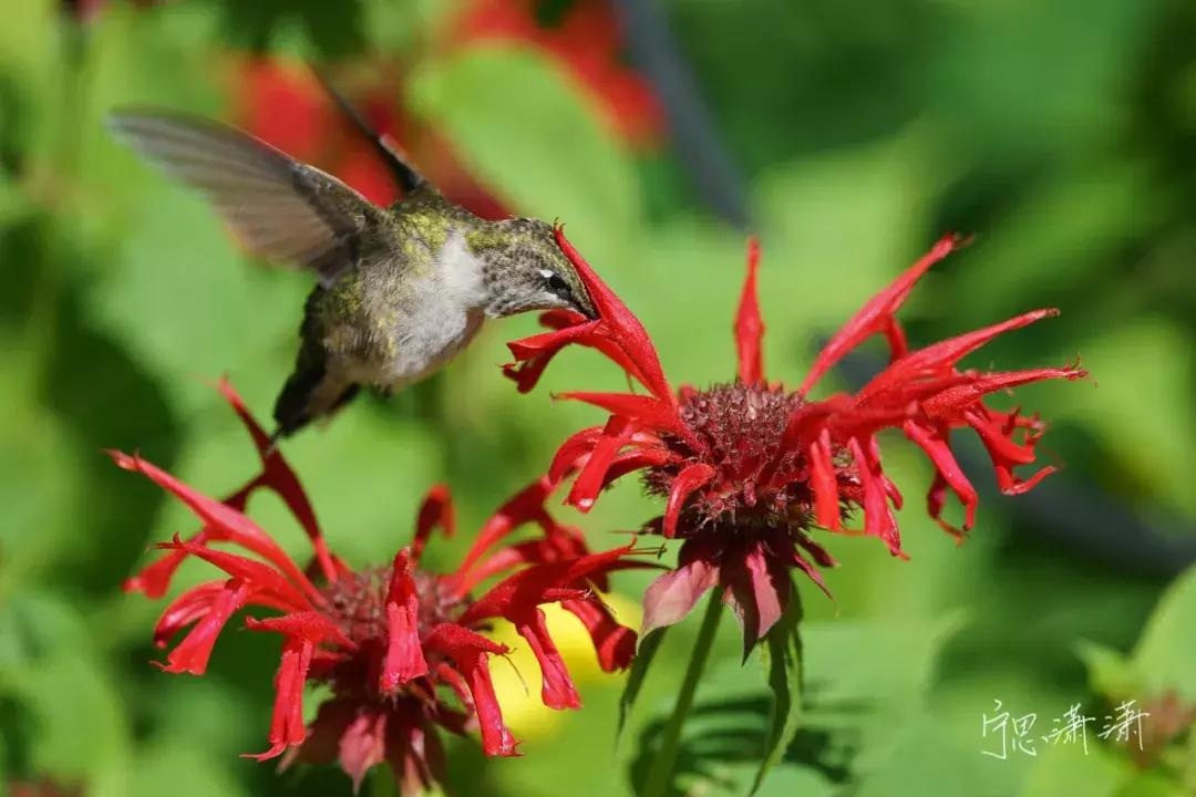 相机对焦技巧教程,相机对焦有哪些方法和技巧