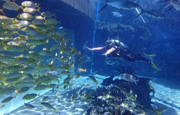 南京动物海洋馆,海洋动物主题公园