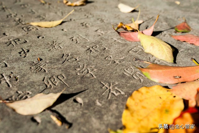 各地稀奇古怪的口头禅，外乡人听了一头雾水，只有家乡人由生亲切