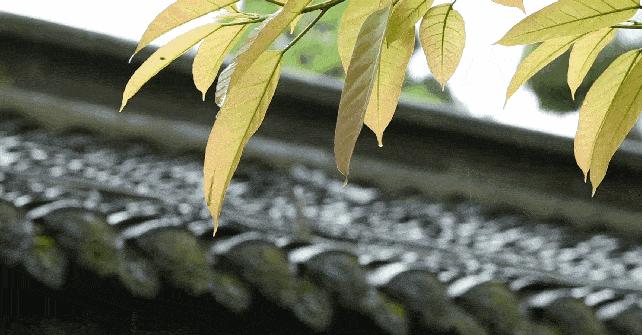 春天最适合滋补的食物,这4种东西千万不要拿回家会很穷