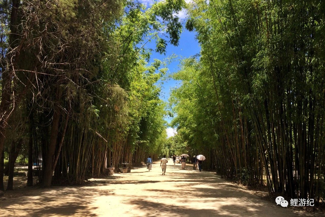 环海公路好看的图片,西南风景图片横图