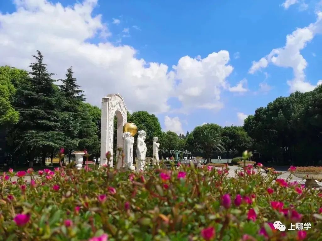 上海闵行区不需要摇号的民办学校,不用摇号就能上的民办小学