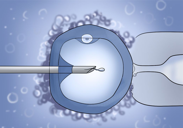 怀胎三年故事,怀胎四年的故事