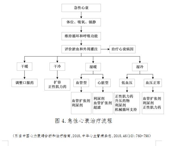 最新心力衰竭指南解读,急慢性心力衰竭诊疗指南解读