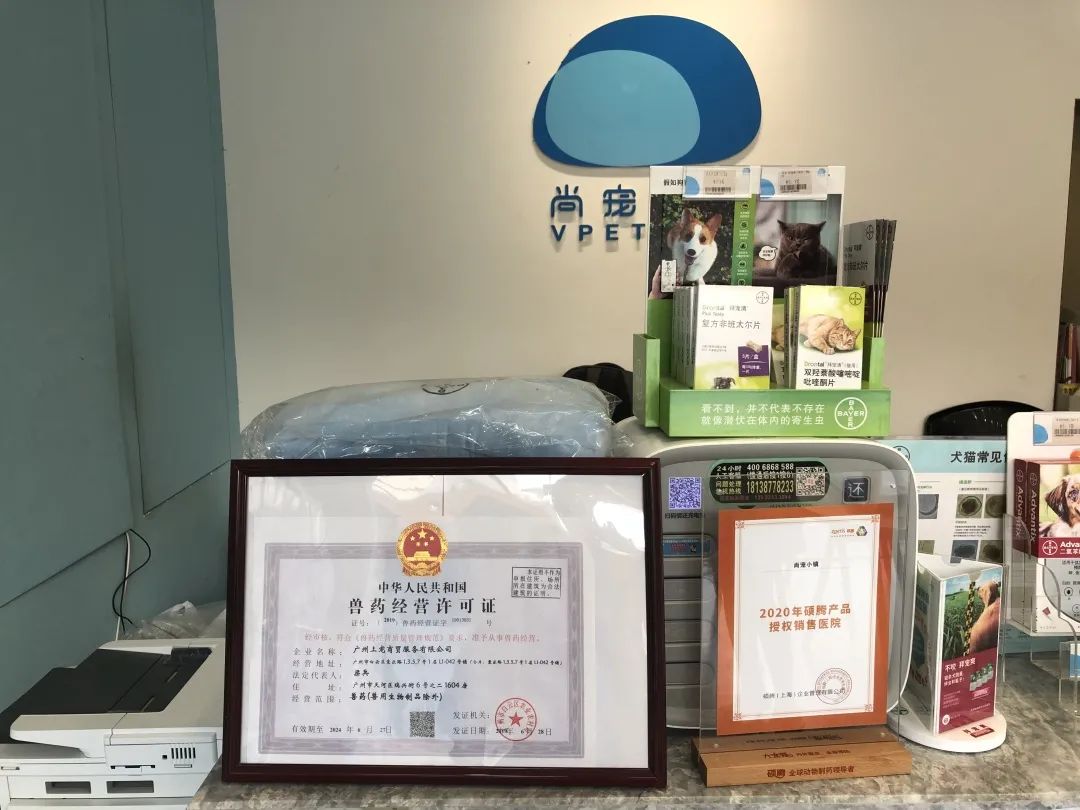 欢迎同行入内,这是一家为宠物店而开的宠物