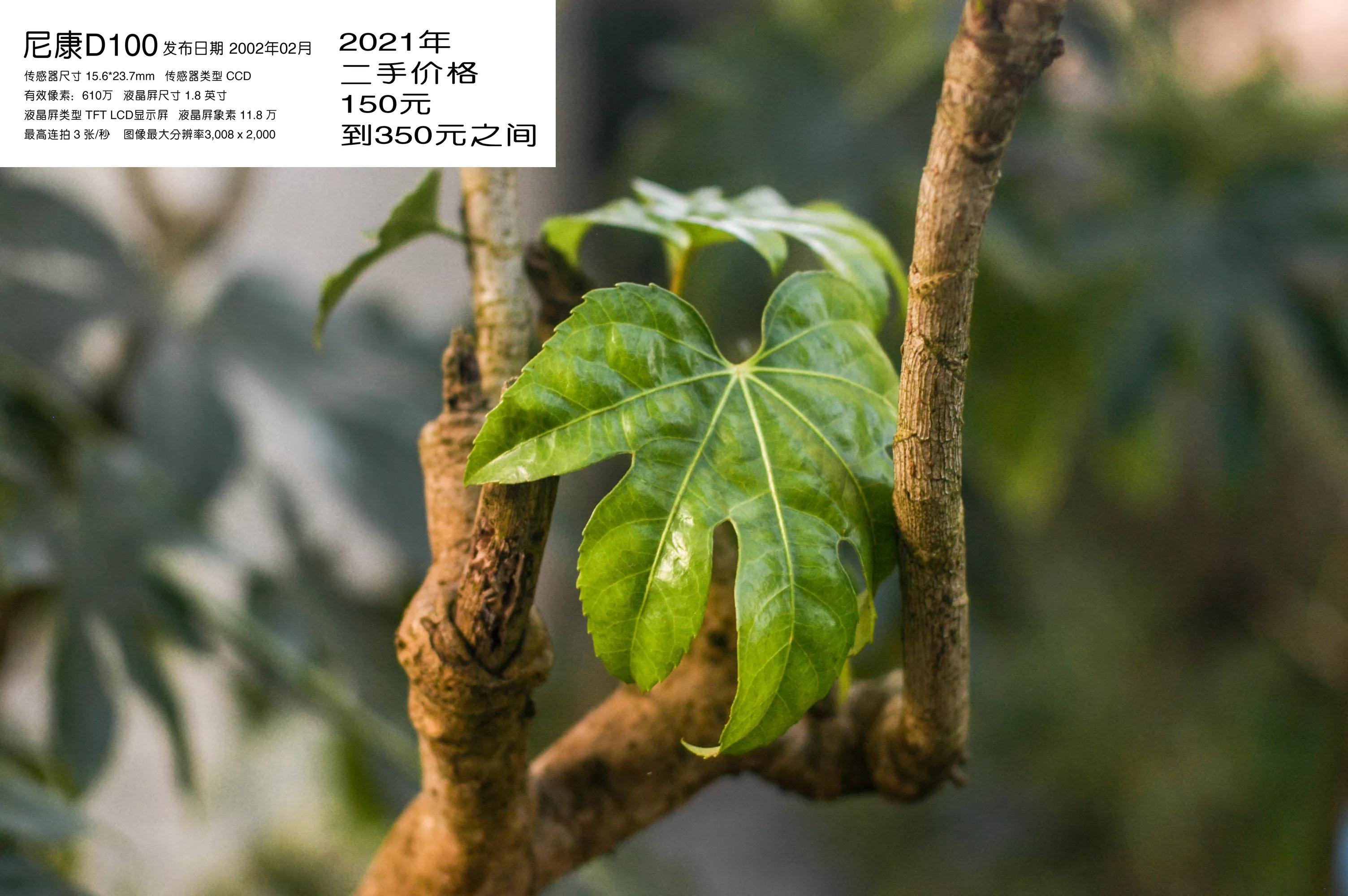 去学摄影花费2w到底值不值得,想学摄影不知道从哪里入手