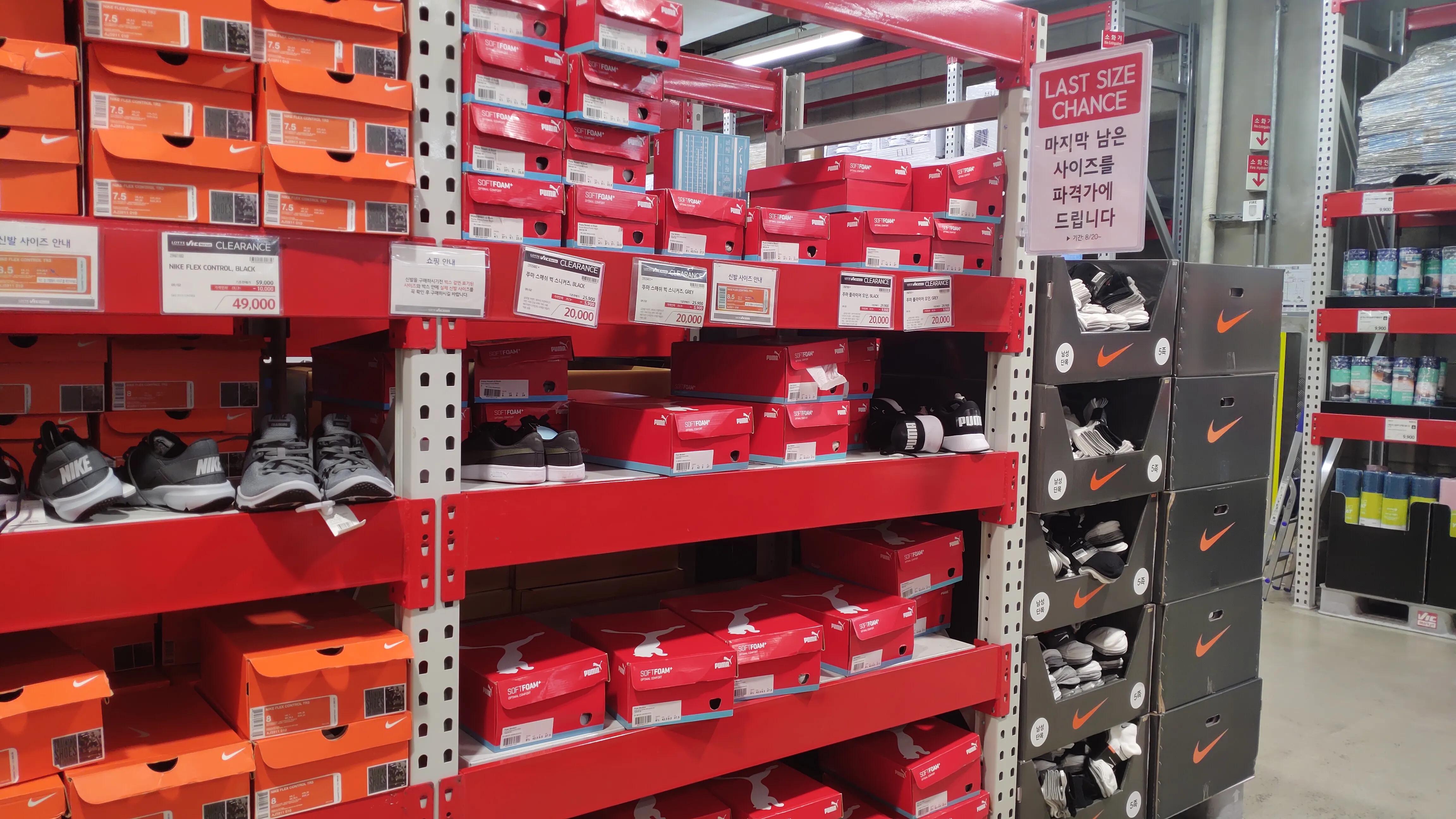 首尔layered咖啡,首尔很多萨摩耶的地方