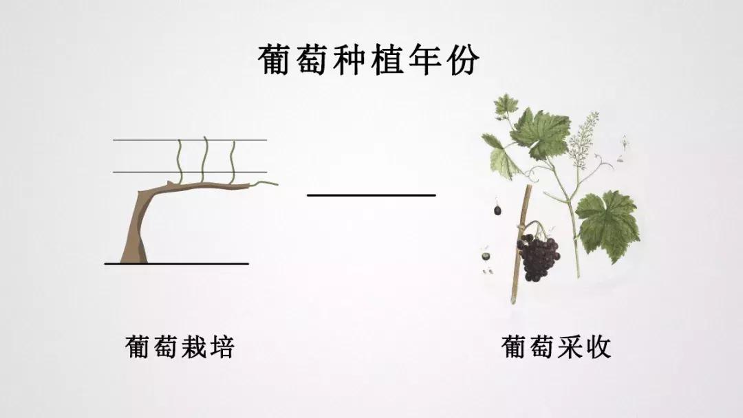 全球最贵的葡萄酒是什么,美国十大最贵葡萄酒最新榜单