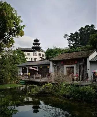 龙岗区甘坑客家小镇,甘坑客家小镇手撕鸡