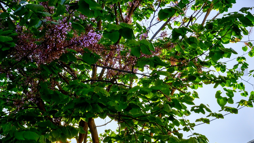 创维g2275寸电视怎么样,创维g22的画质如何