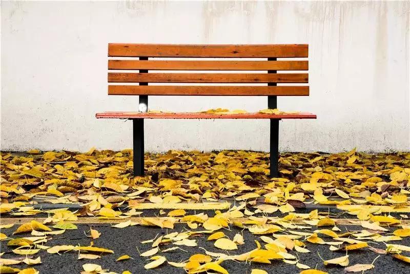 广东高考排名前三的专科学校,广东专科学校排名前十公办分数线