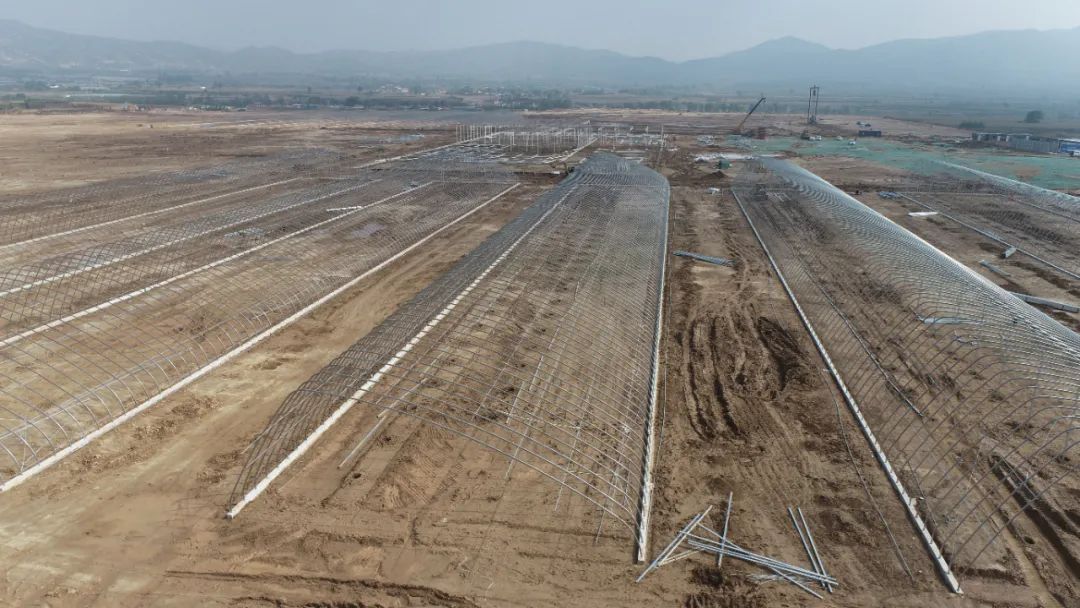 阳曲现代农业发展现状,山西阳曲现代农业产业示范区