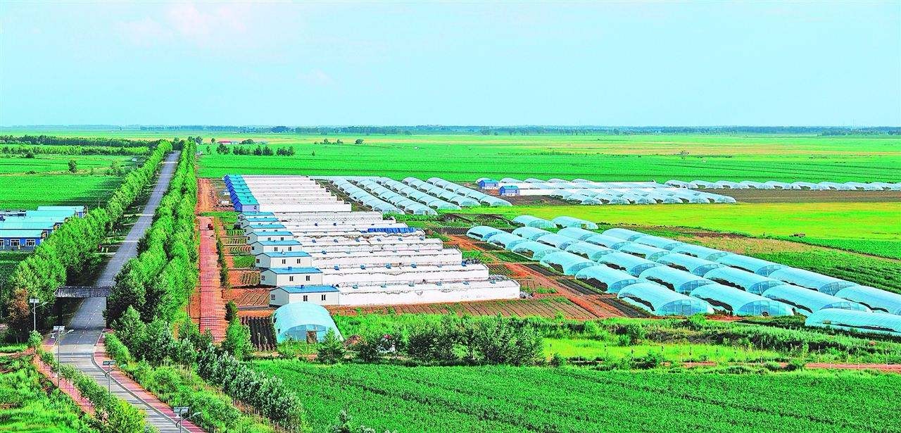 农牧板块最新预期,农业养殖板块后市分析