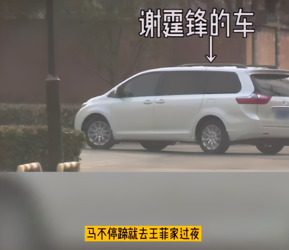 王菲谢霆锋年轻时的视频,王菲谢霆锋年轻时视频同台