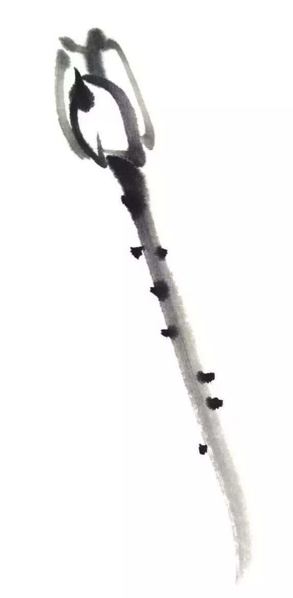 白描荷花100幅画法,荷花的画法白描图