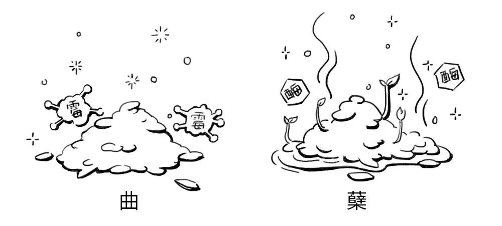 一分钟学会酿酒技巧,三分钟了解葡萄酒的酿造全过程