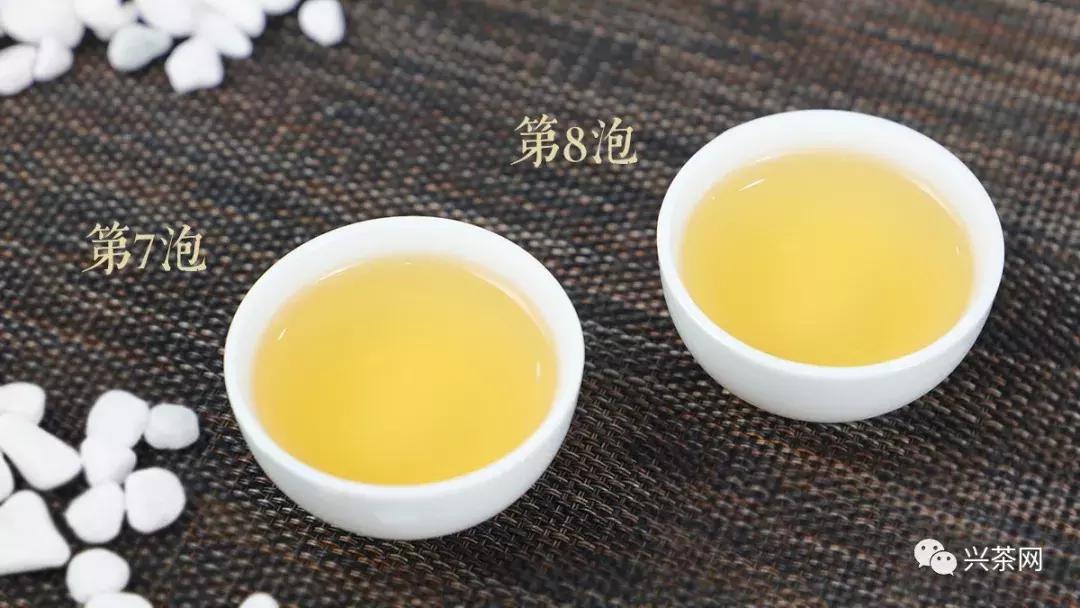 福海金福普洱茶,福海茶厂2016年福韵熟茶